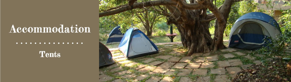 Accommodation - Tents